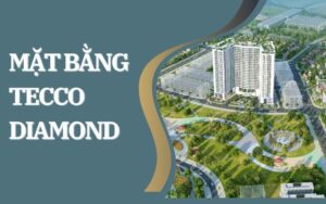 Mặt Bằng Tecco Diamond